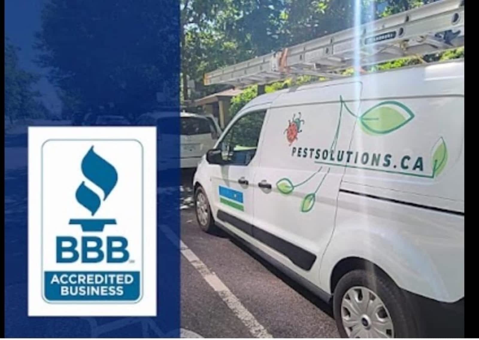 Photo credit: yellowpages.ca