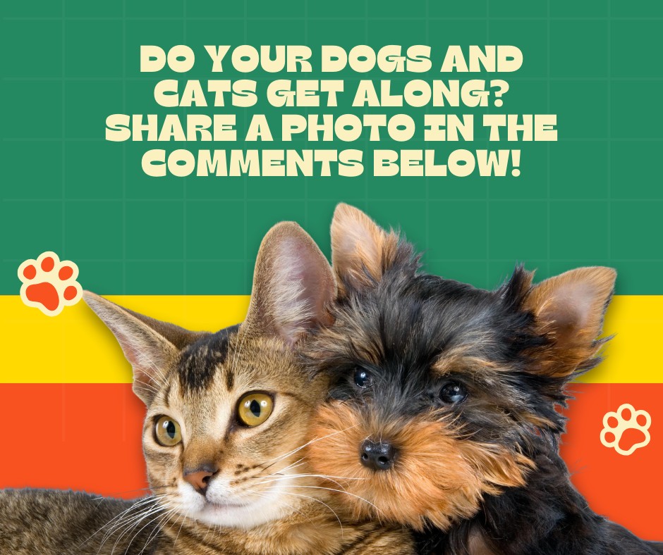 Oak Animal Hospital Vancouver