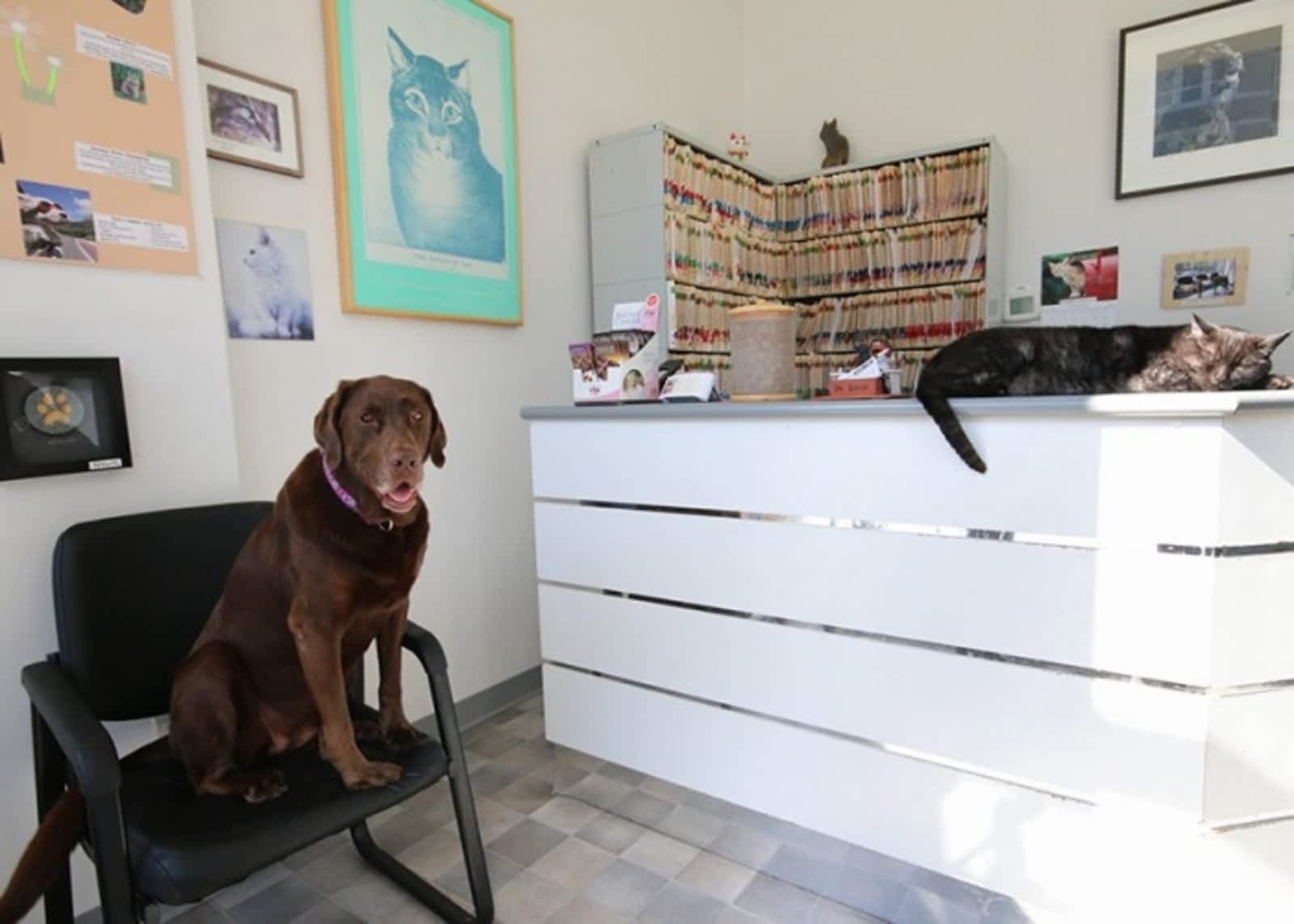 Photo credit: yellowpages.ca