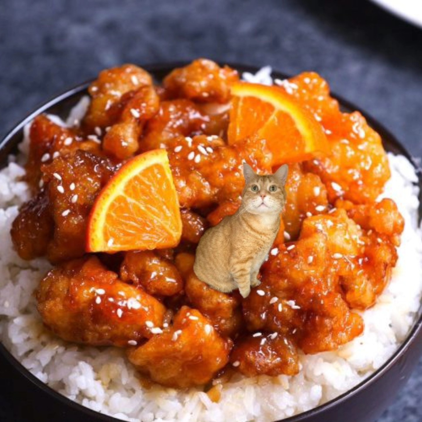 West Coast Veterinary Dental Services Inc Vancouver