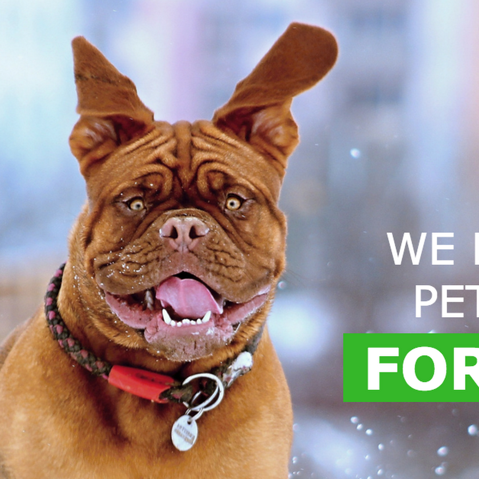 Naturally Urban · Pet Store · To Your Door Vancouver