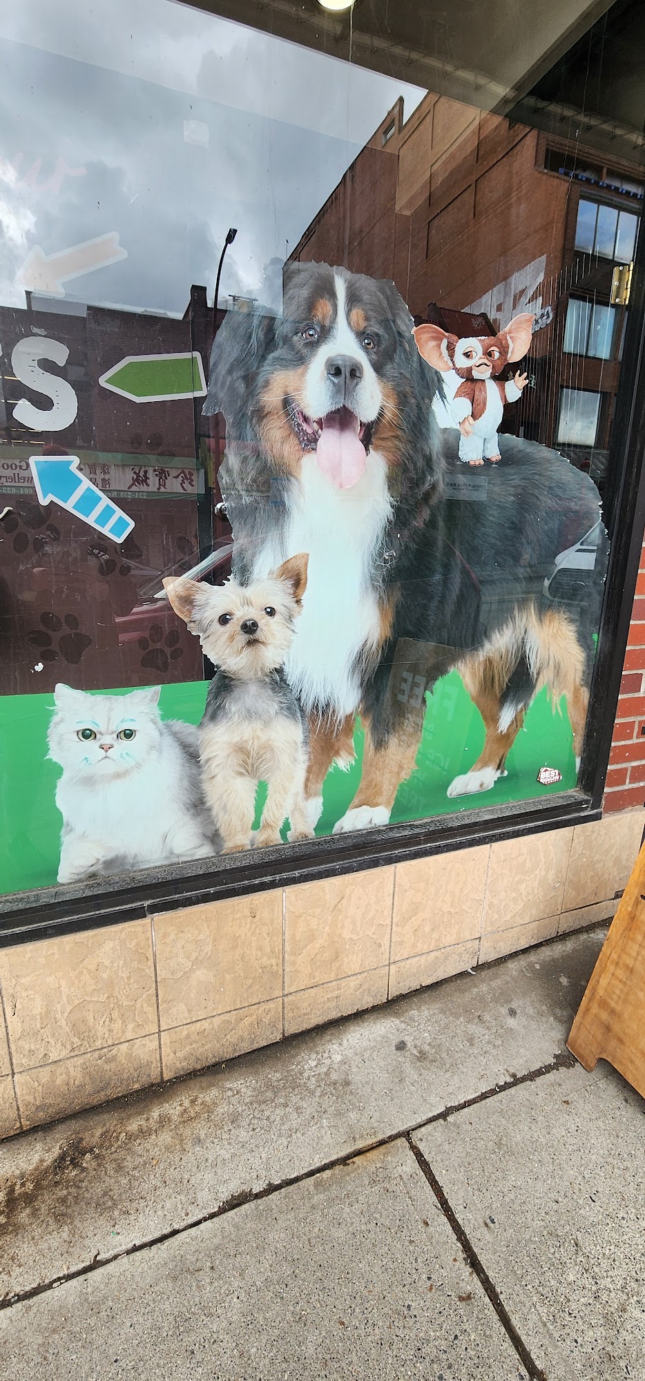 Naturally Urban · Pet Store · To Your Door Vancouver