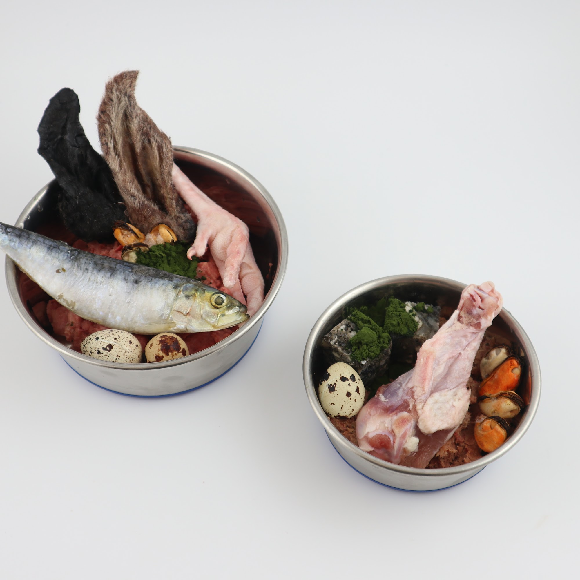 True Carnivores - Raw Food For Cats & Dogs Vancouver