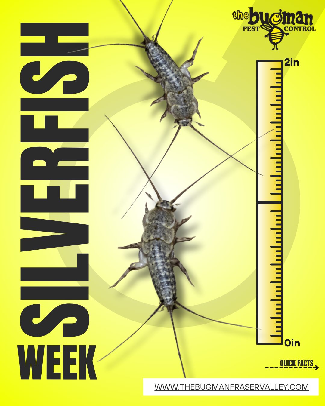 The Bugman Pest Control Vancouver