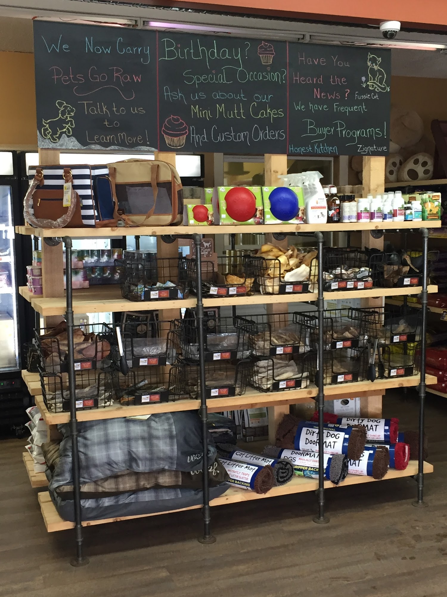 Fun 4 All Pet Resort Vernon