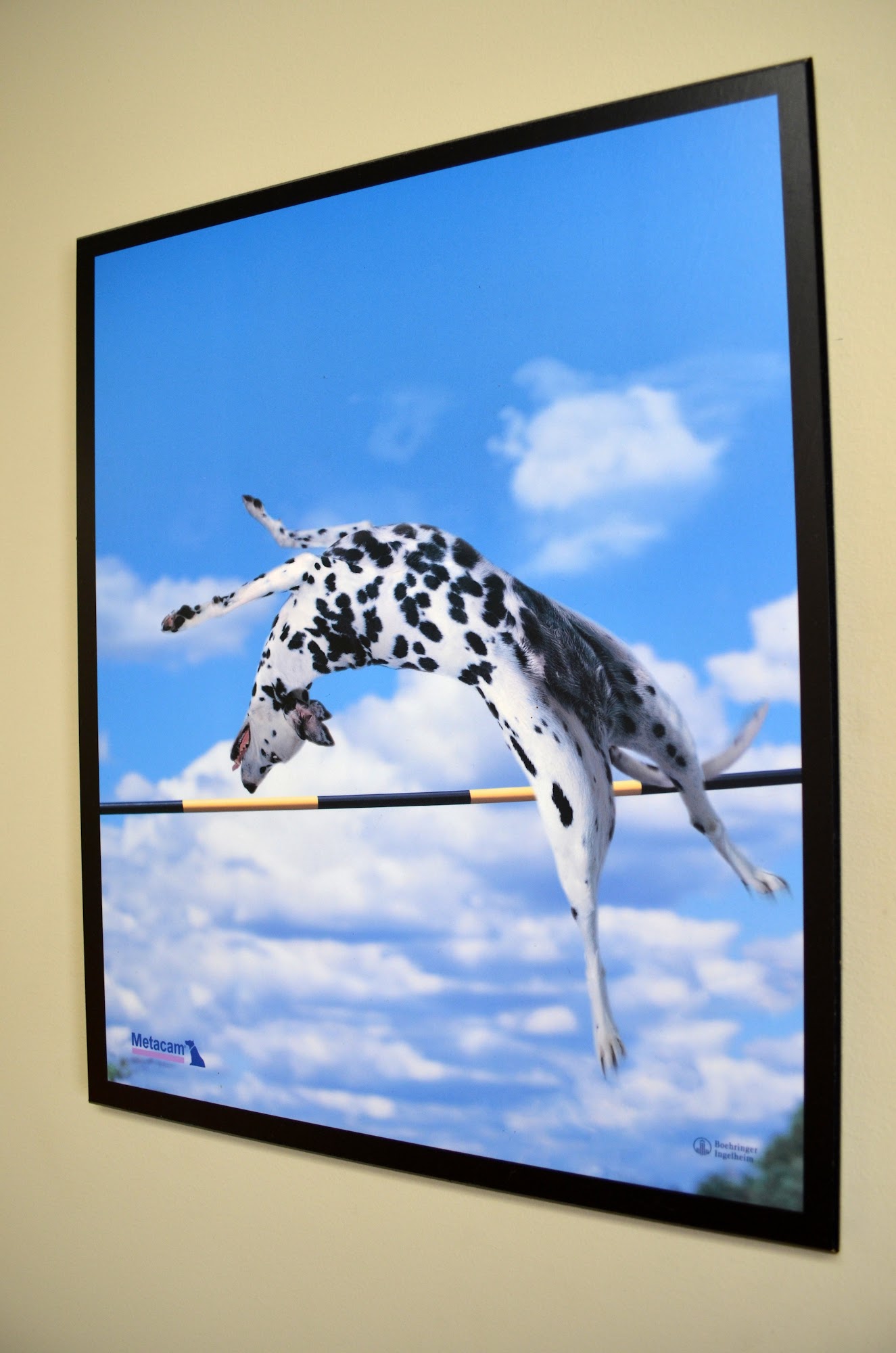 Vernon Veterinary Clinic Vernon