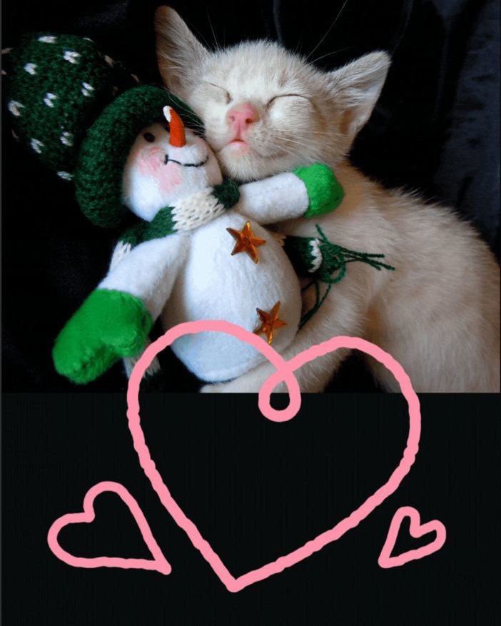 Vernon Veterinary Clinic Vernon