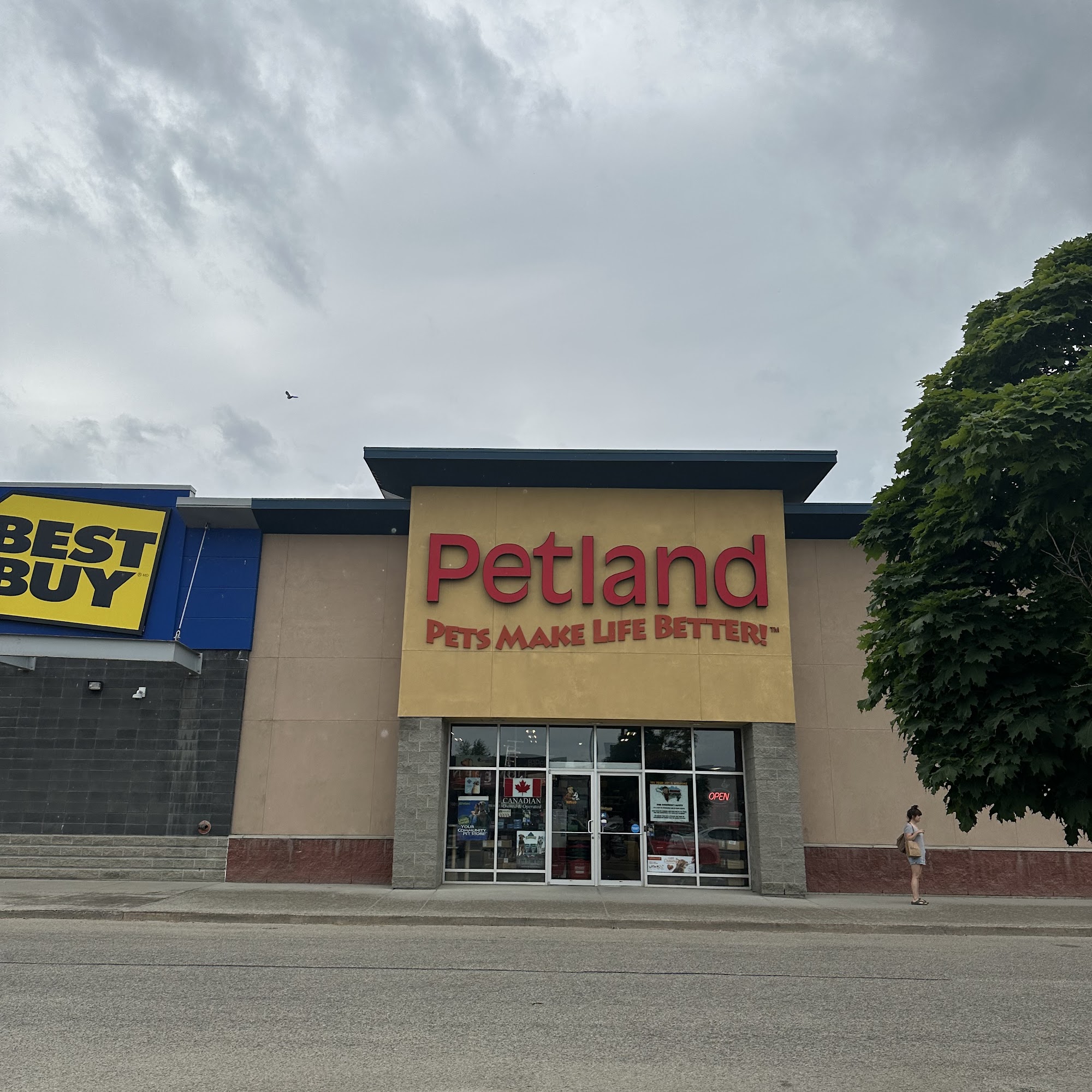 Petland Vernon
