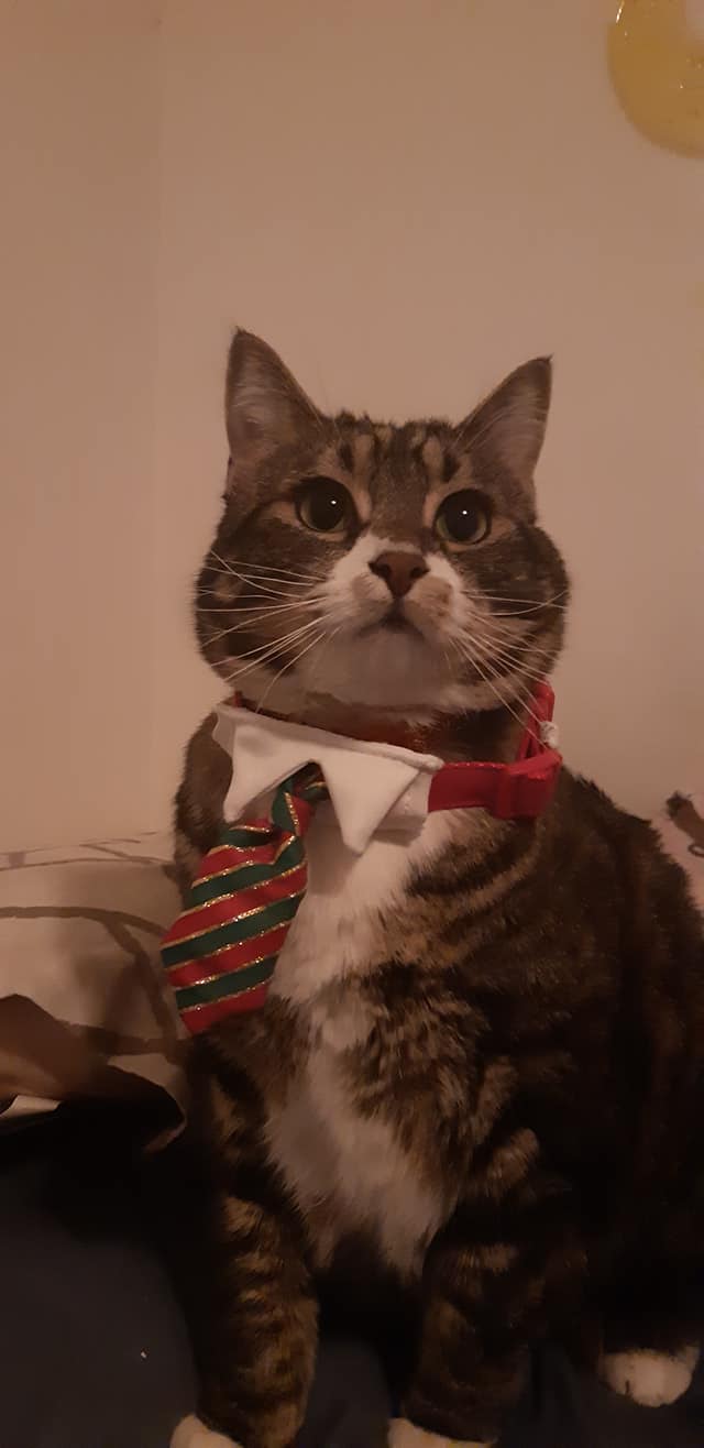 Creekside Animal Clinic LTD Vernon