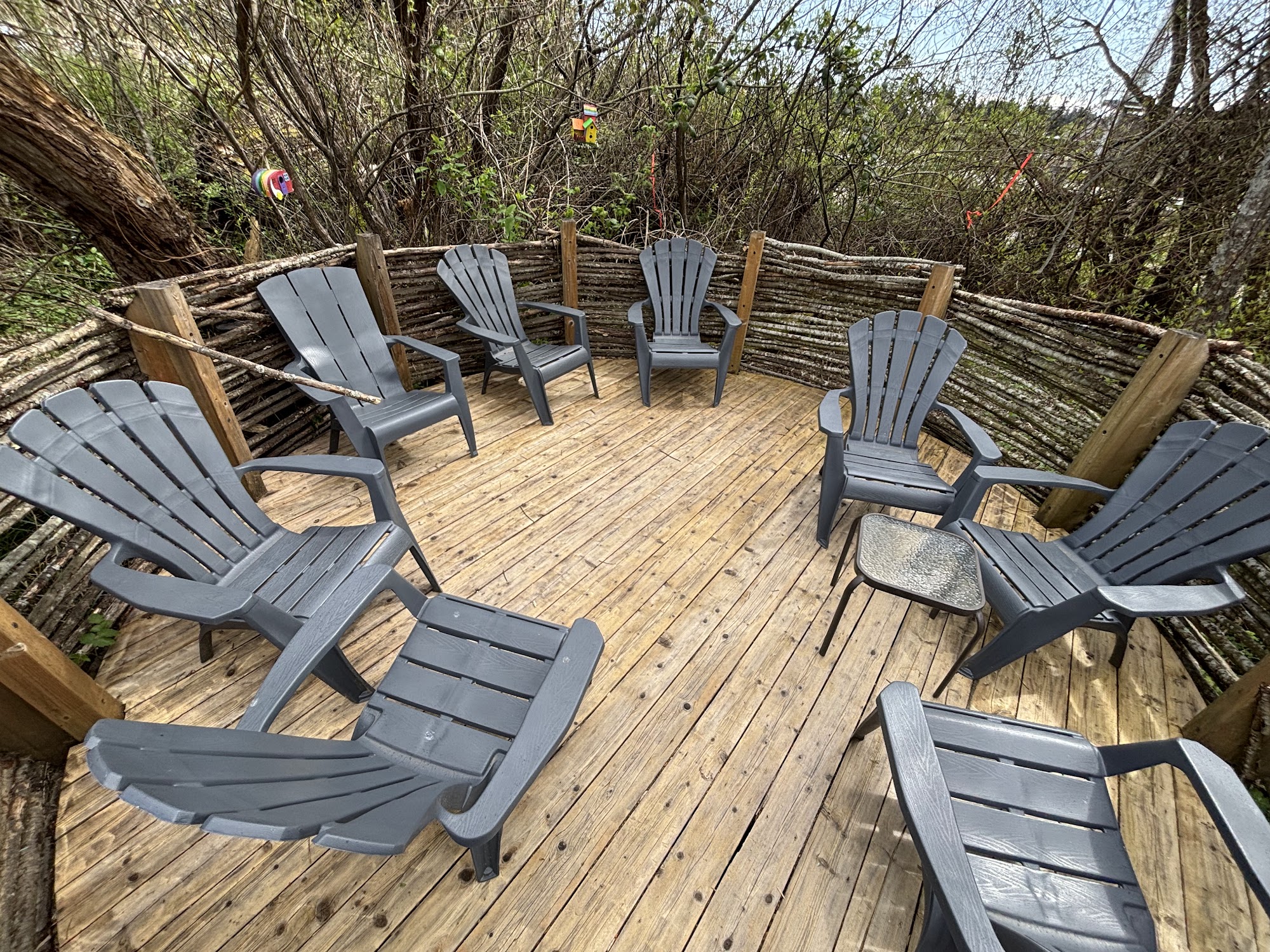 The Nest Cafe Victoria