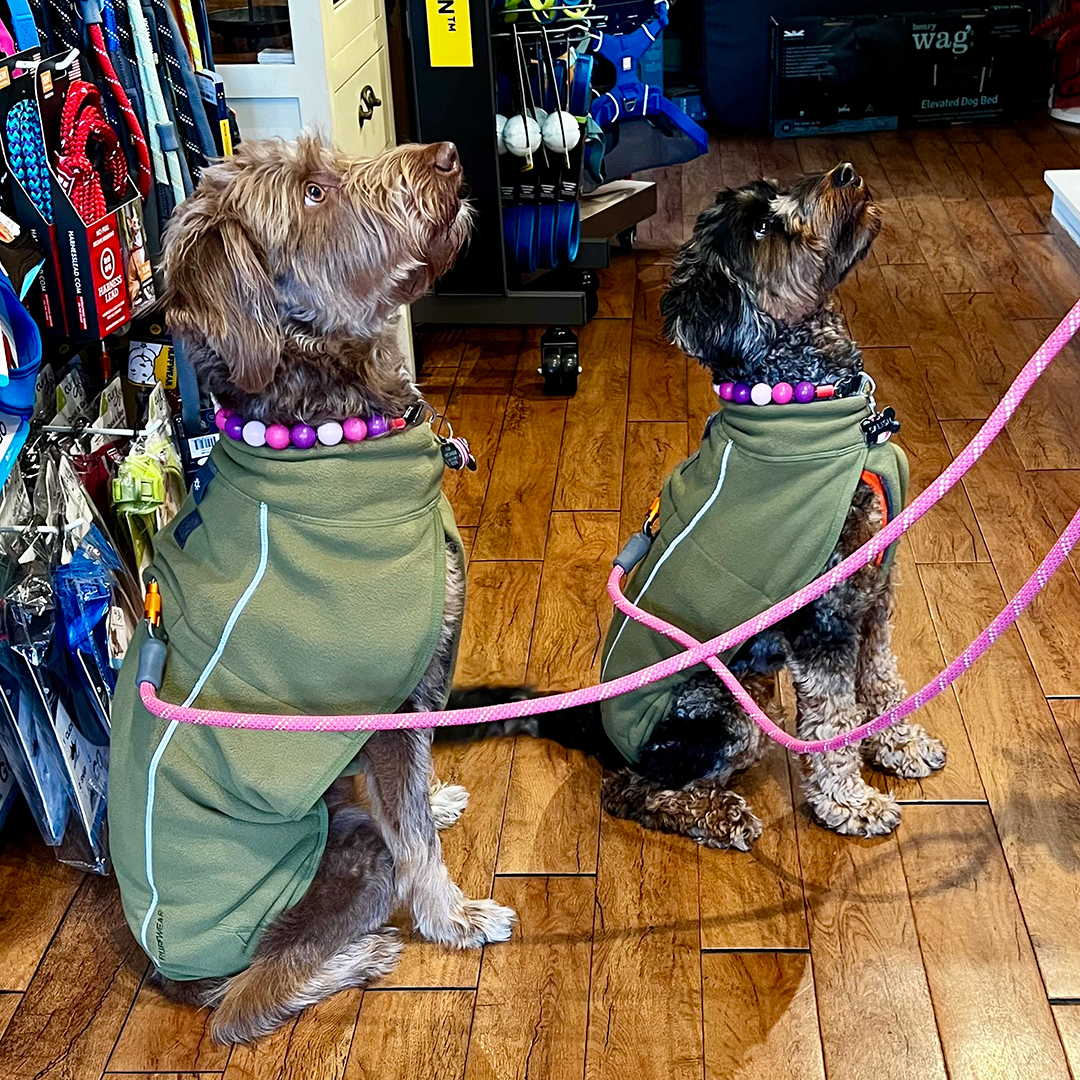 Bark, Bath & Beyond Pet Boutique - SHOP ONLINE! Victoria