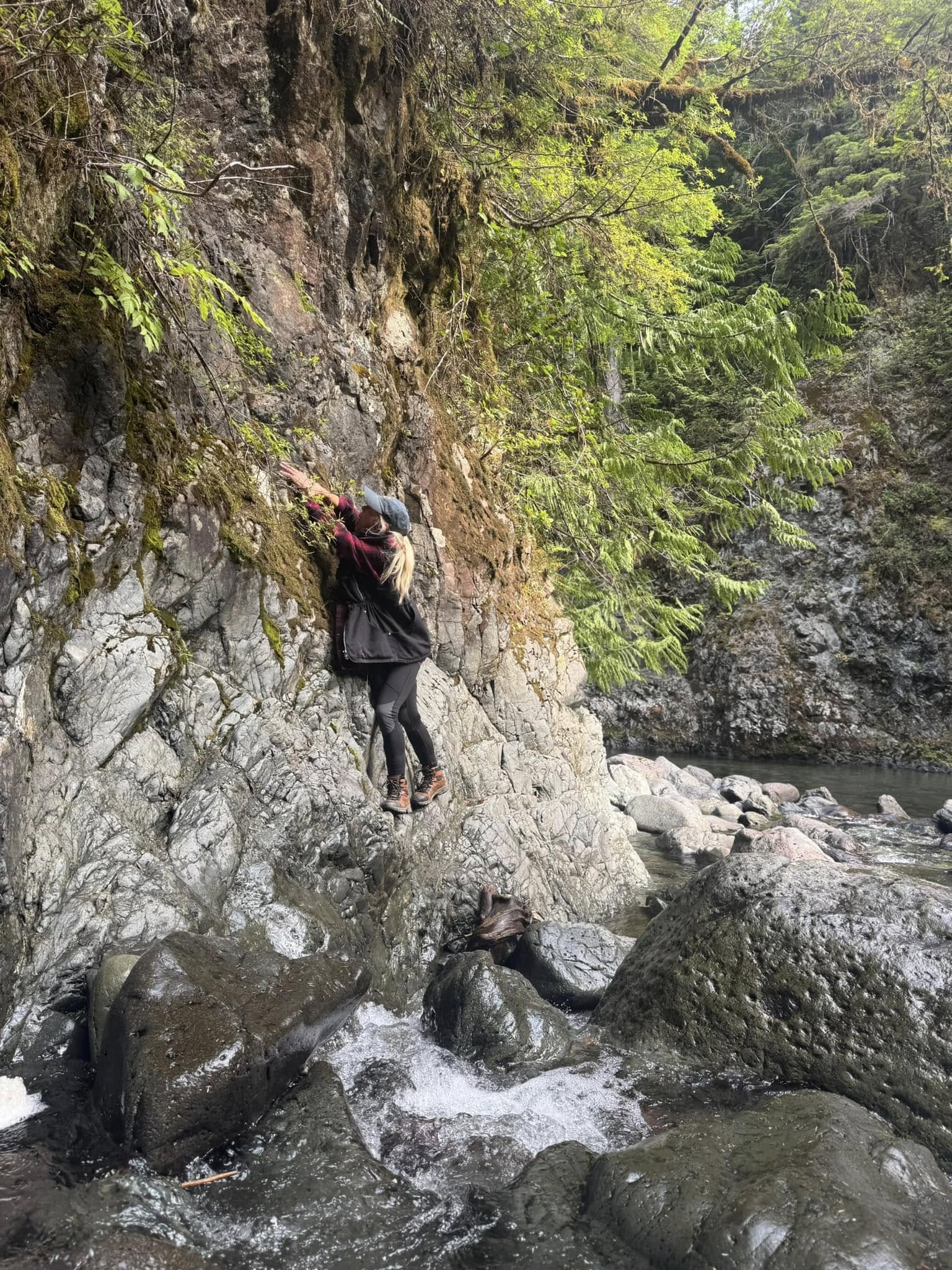 The Naughty Dogge, Monique Anstee Victoria