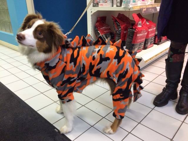 Royal Oak Pet Clinic Victoria