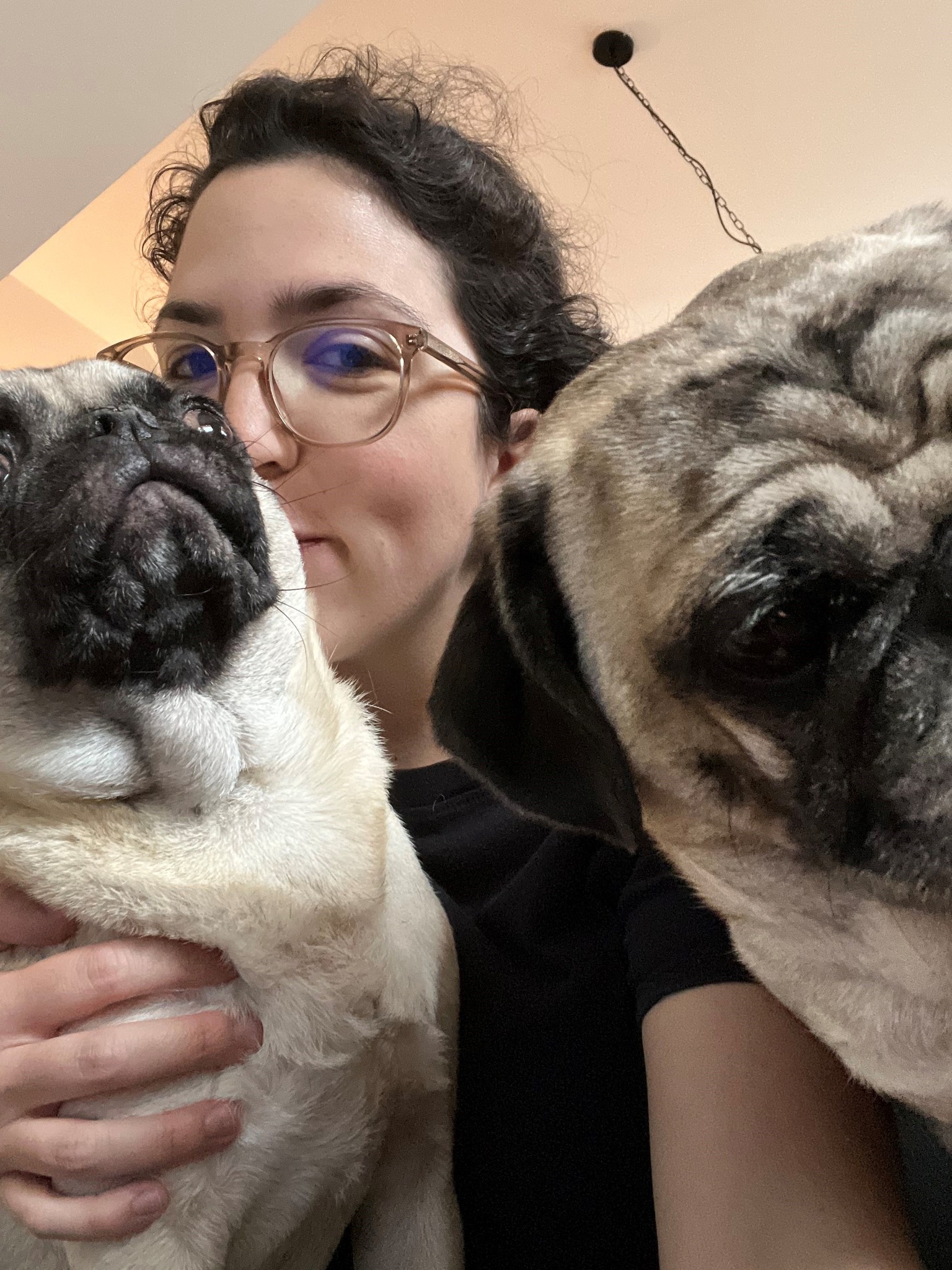 VCA Canada Feltham Animal Hospital Victoria