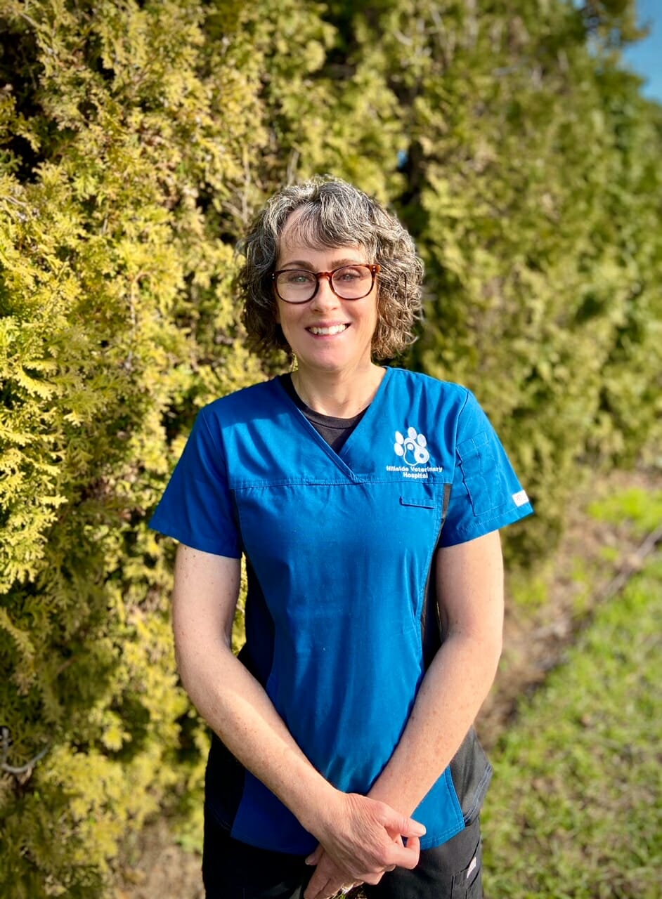 Hillside Veterinary Hospital Victoria