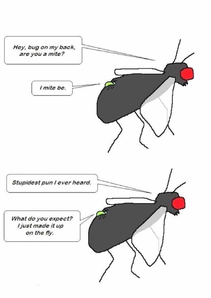 PES Professional Ecological Services Ltd