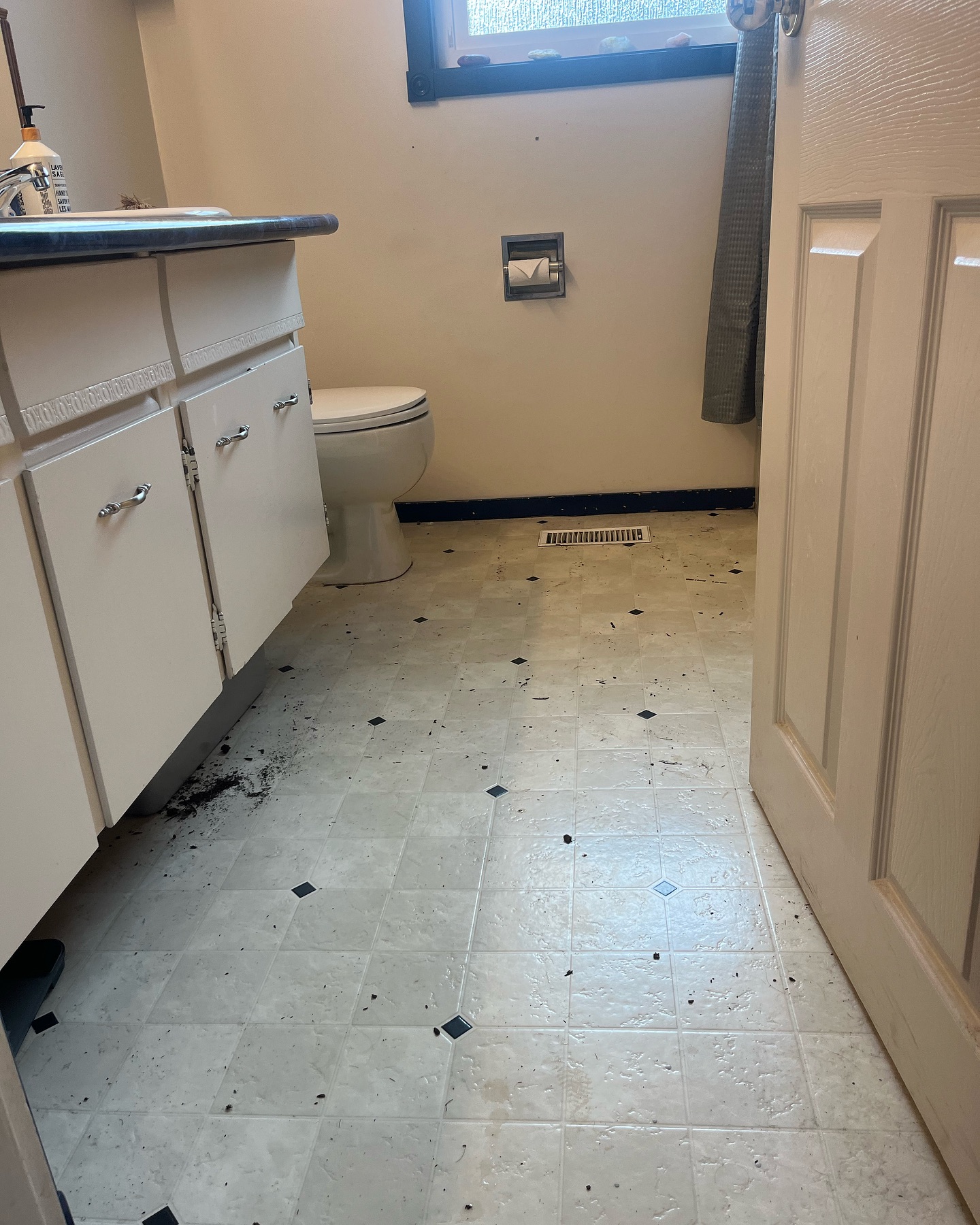 Whiskey Jack Cleaning