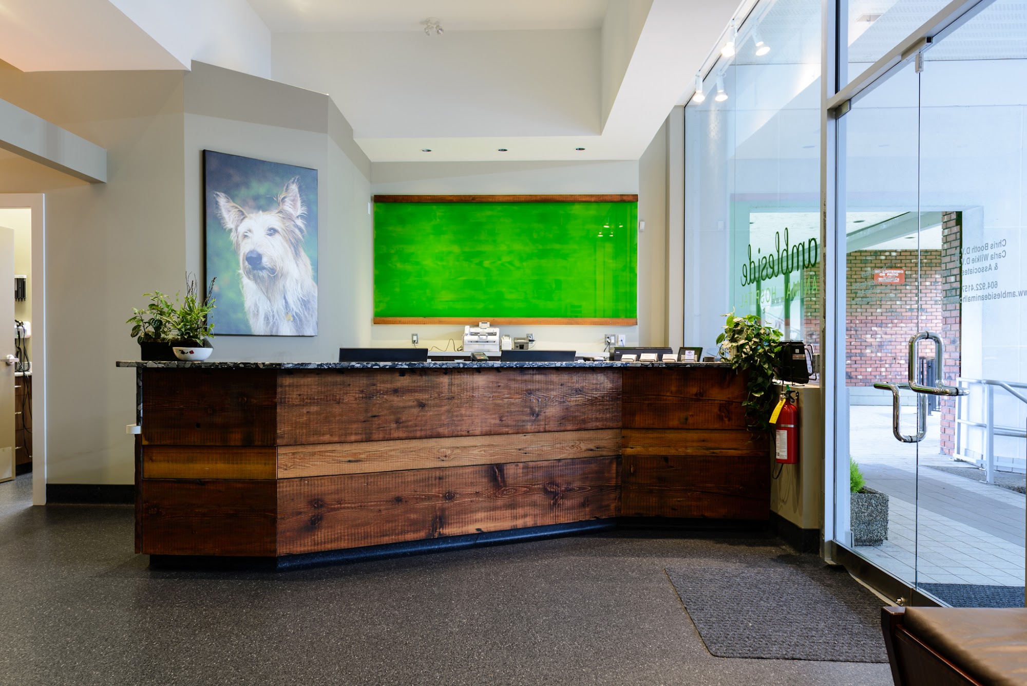 Ambleside Animal Hospital West Vancouver