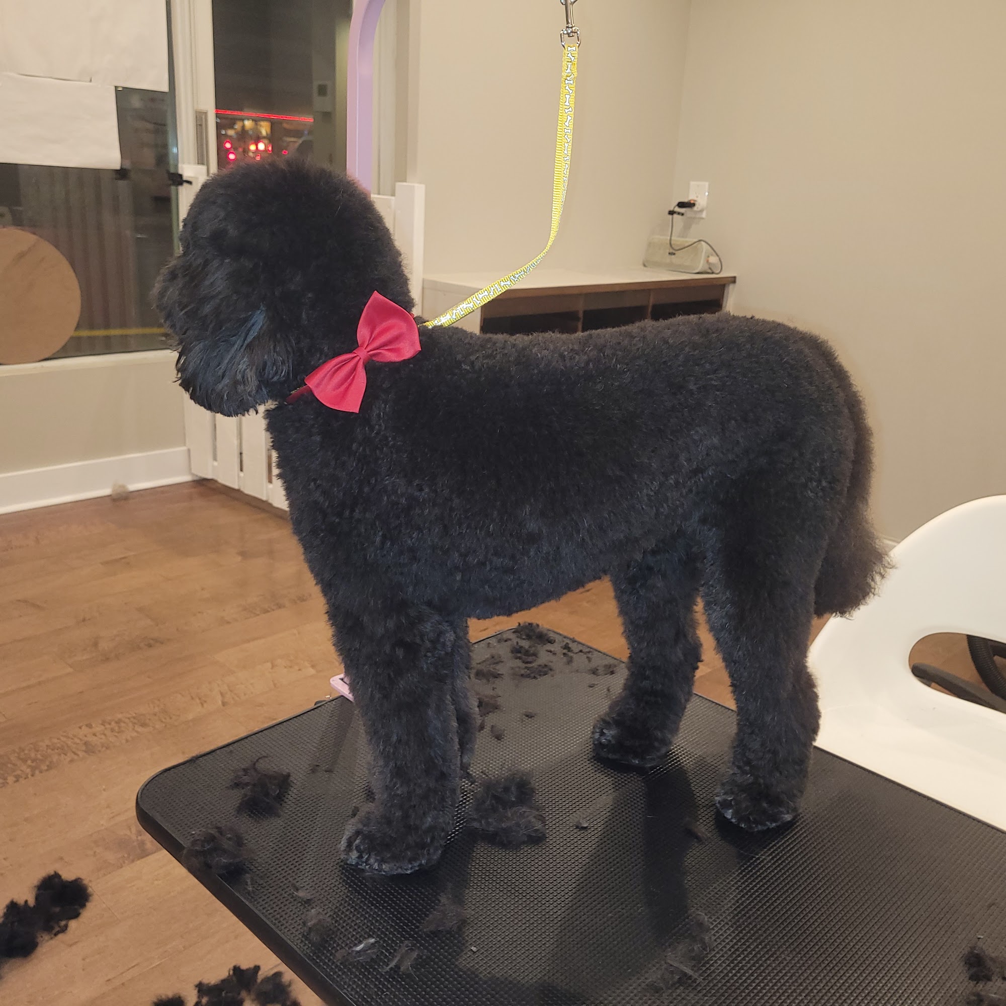 Pet's Heaven Grooming West Vancouver