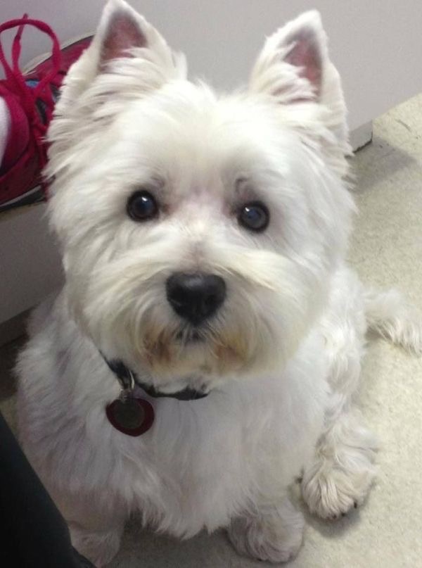 Critters & Friends Pet Supplies Ltd White Rock