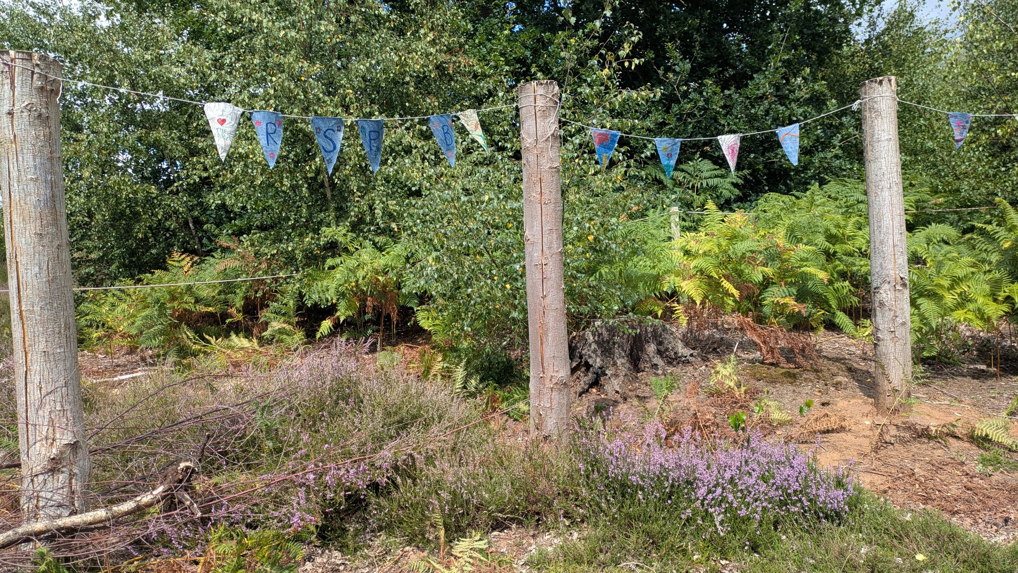 RSPB HQ Office