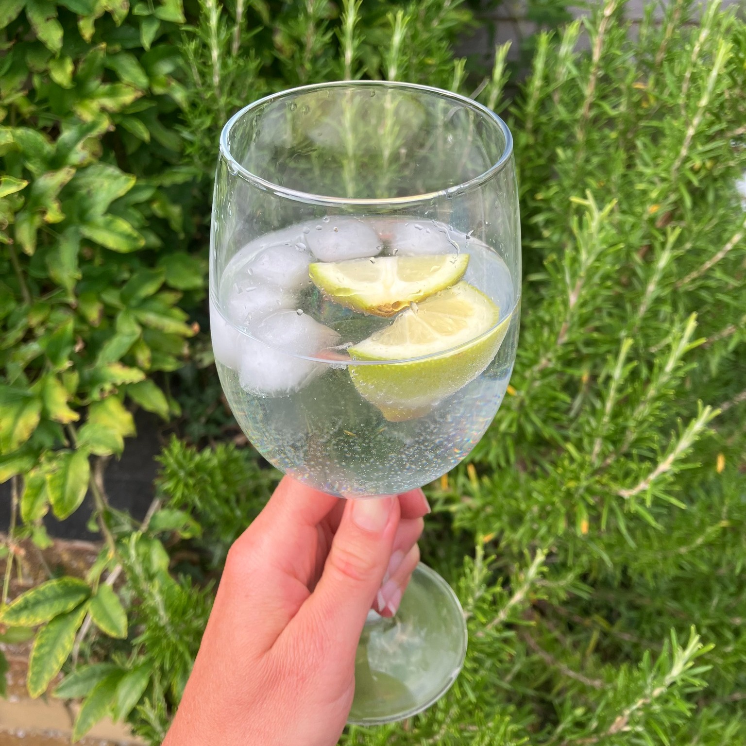 True Food Community Co-op