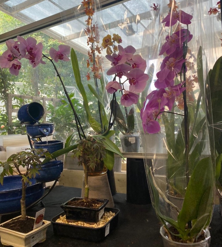 Henleaze Garden Shop