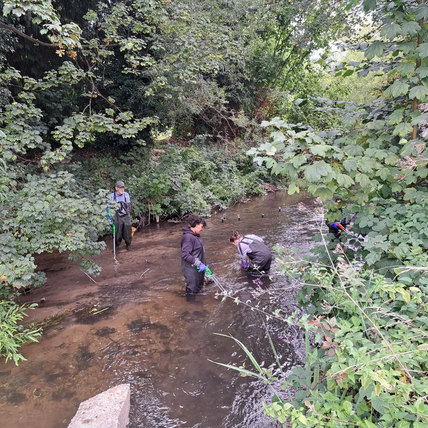 Chiltern Rangers
