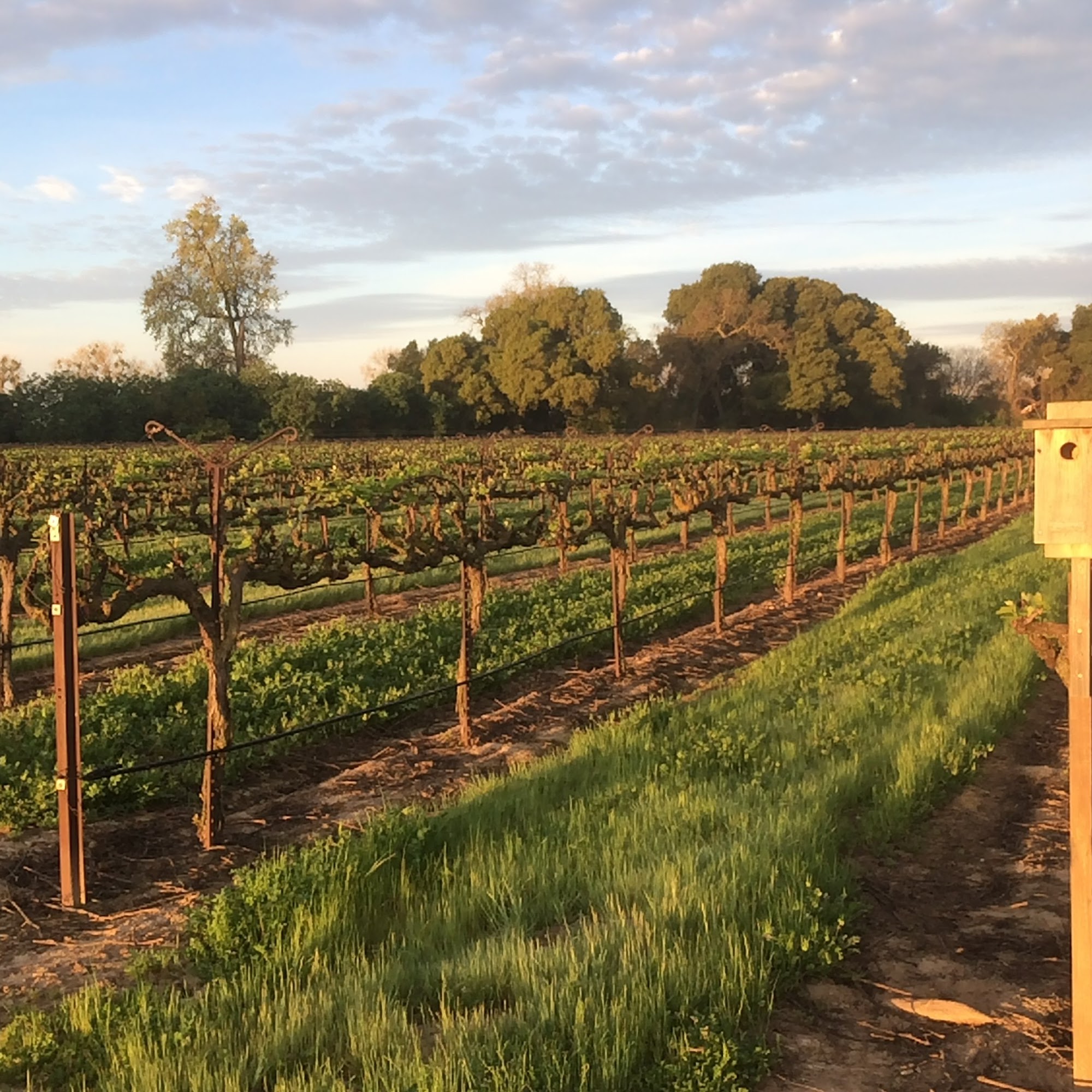 Heritage Oak Winery Acampo