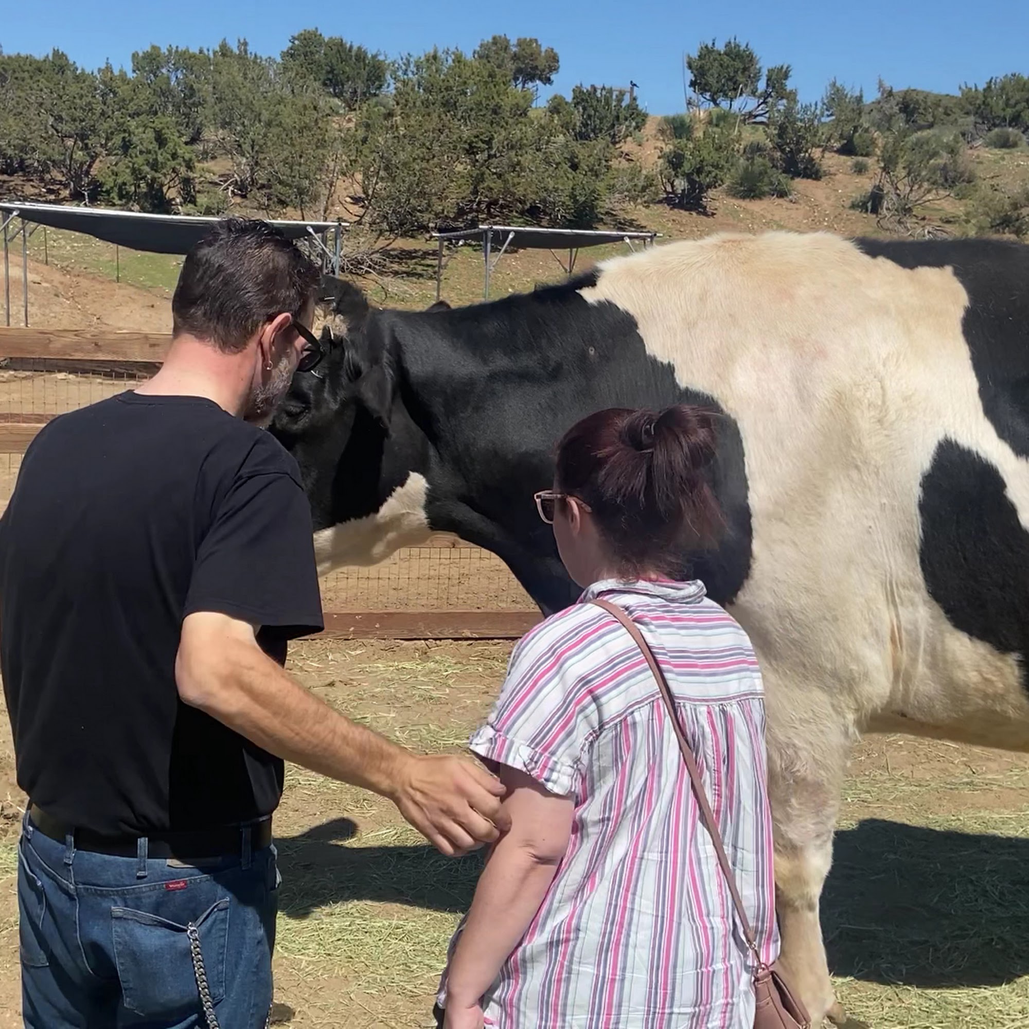 Farm Sanctuary Acton