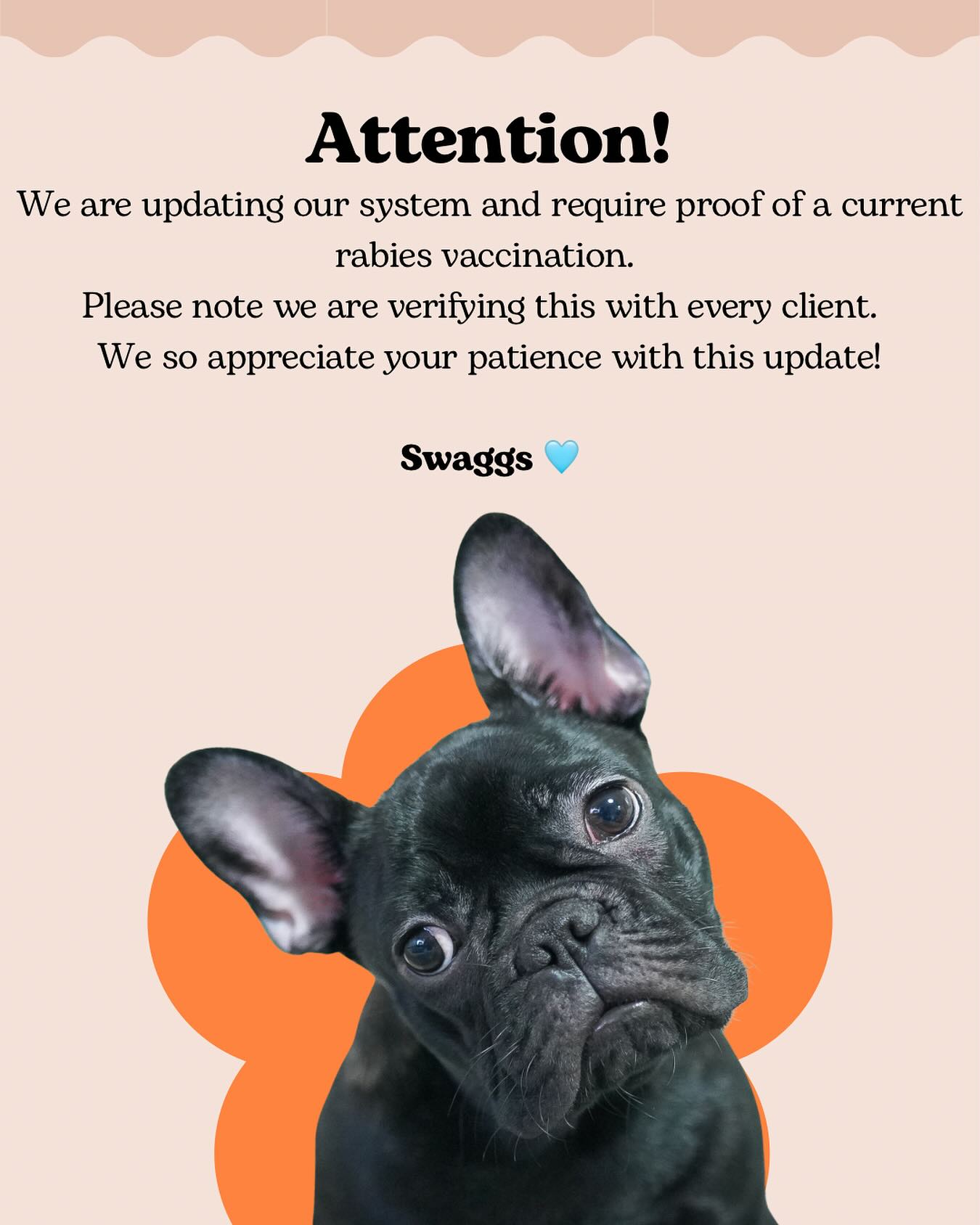 Swaggs Pet Grooming Spa Agoura Hills