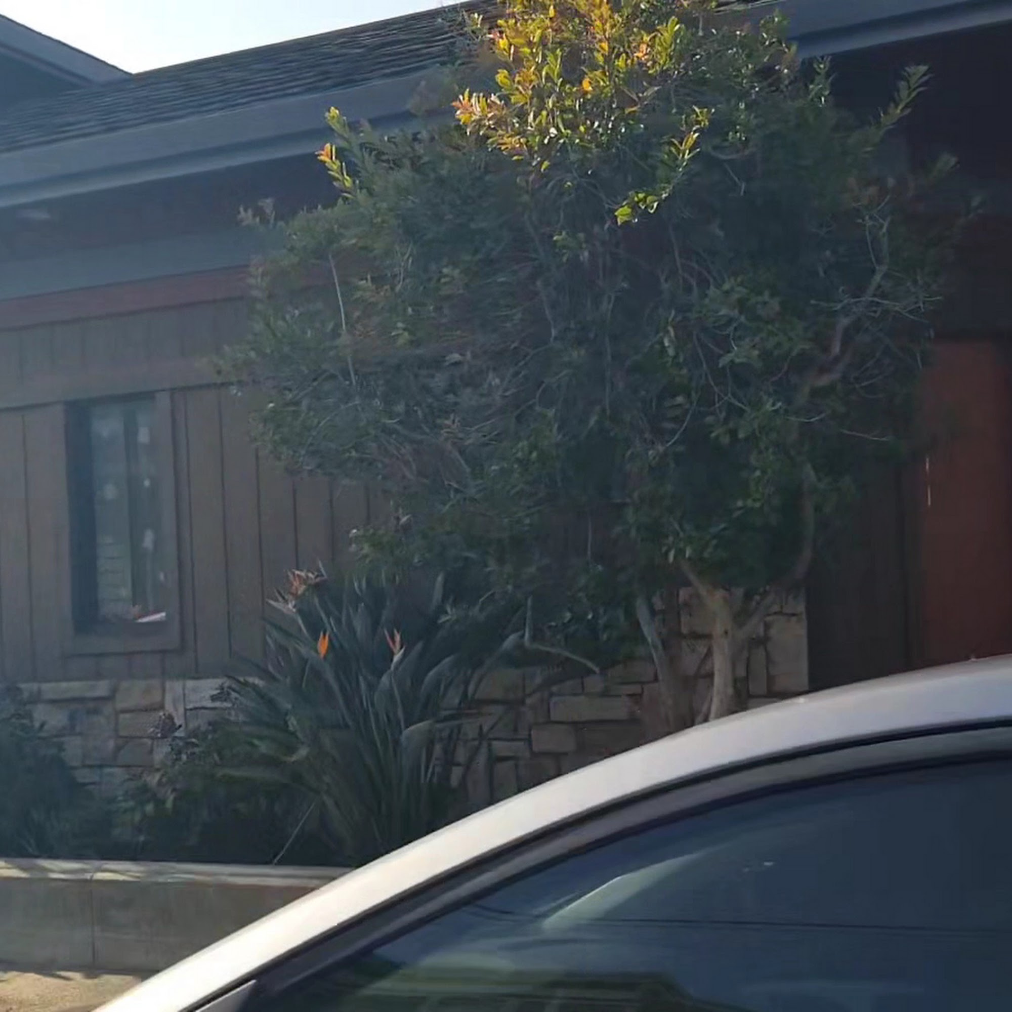 Alameda Pet Hospital Alameda