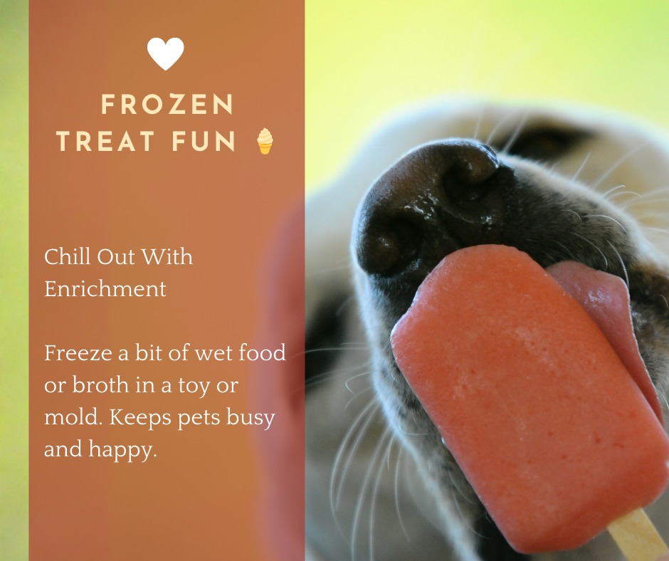 Marina Village Veterinary Alameda