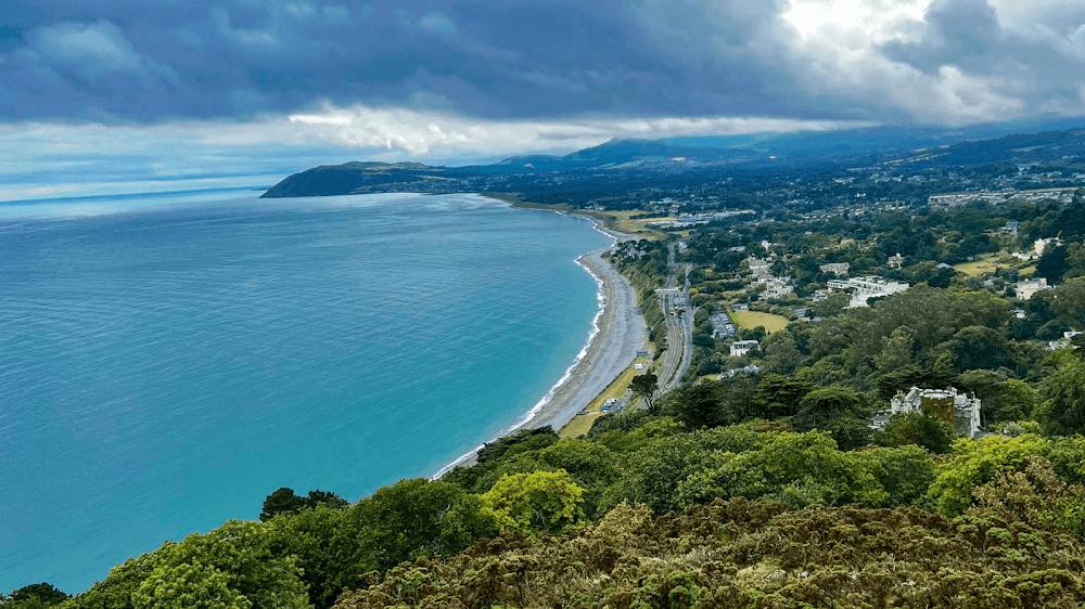 Drummond’s Pet Grooming Alameda