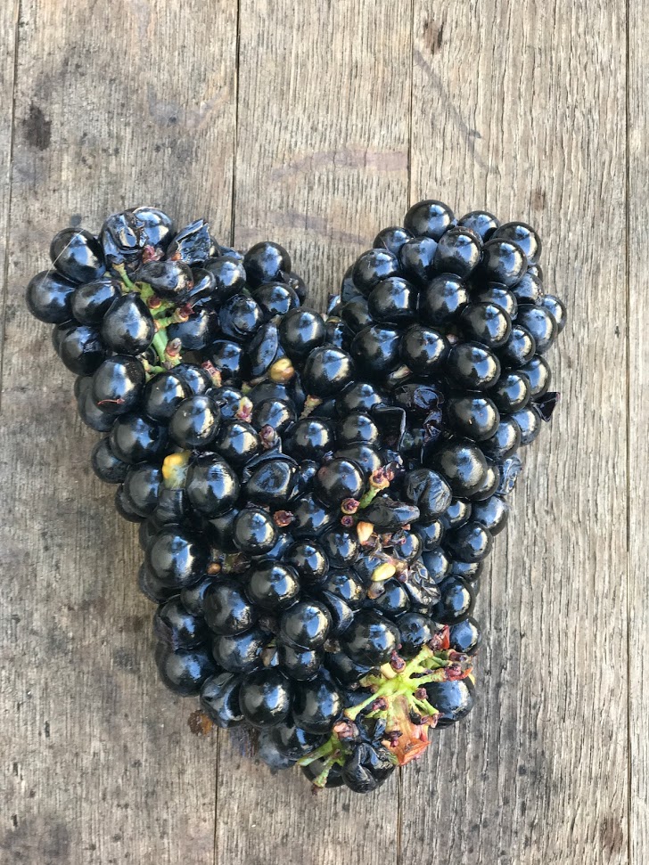 Dashe Cellars Alameda