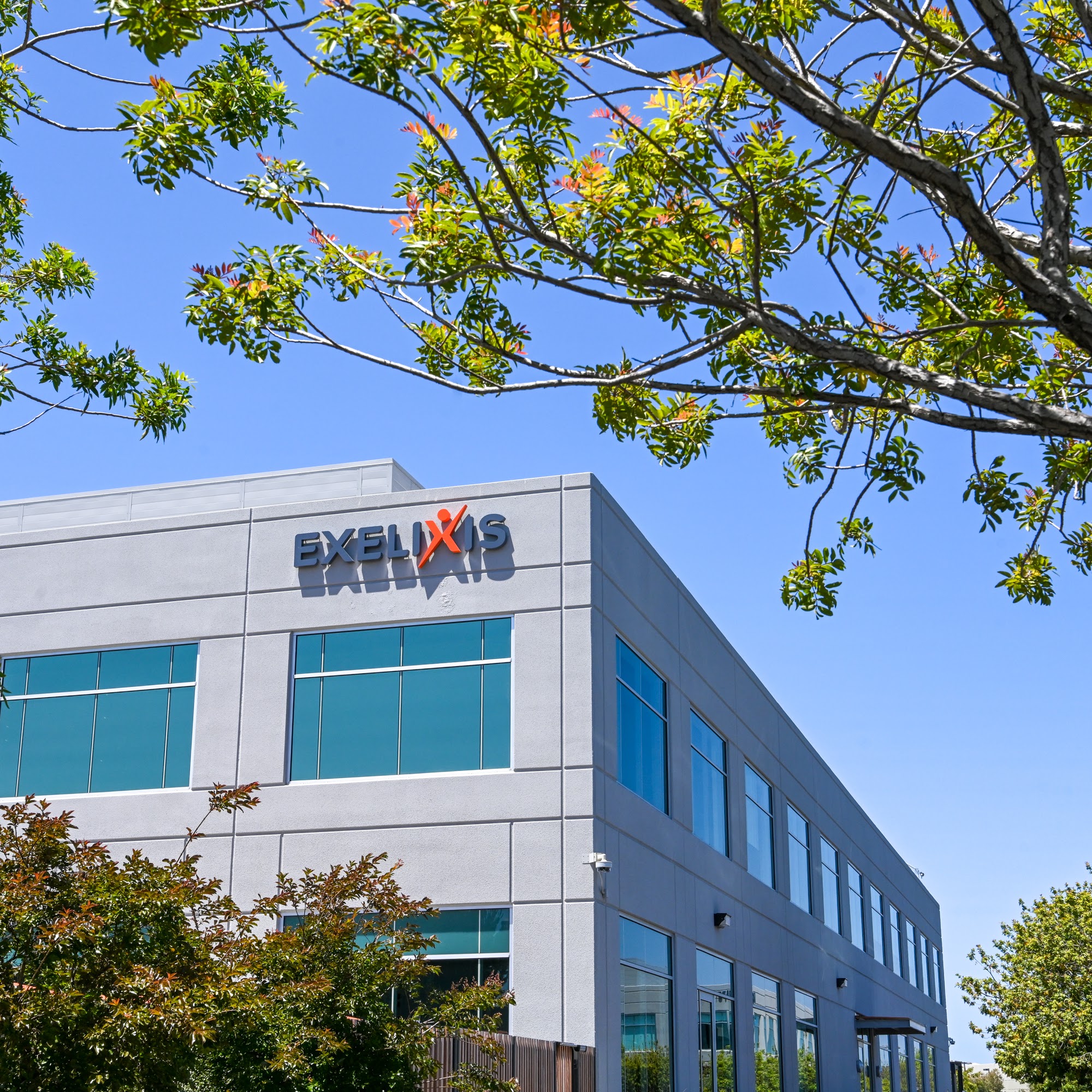 Exelixis Inc Alameda