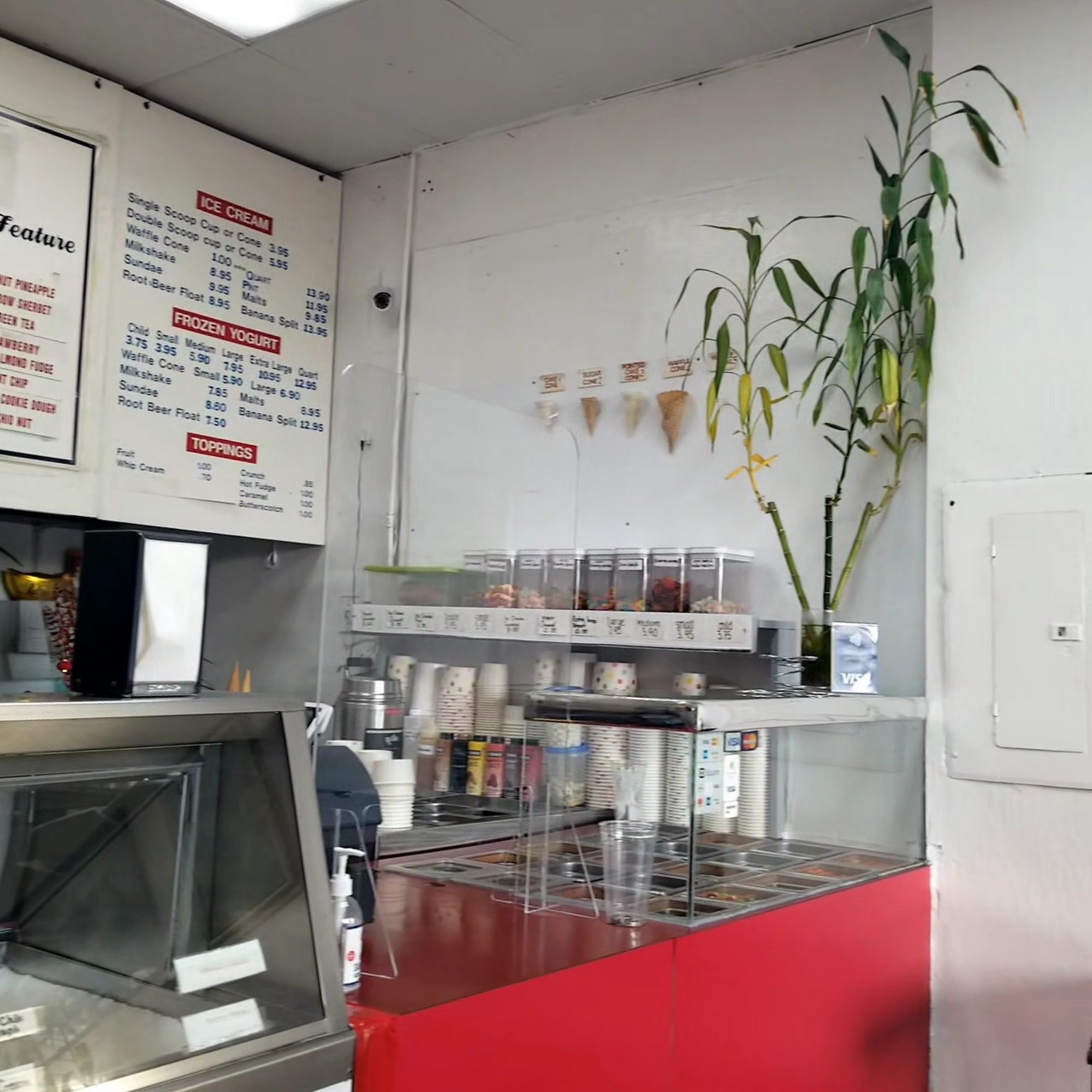 Solano Yogurt & Ice Cream Albany