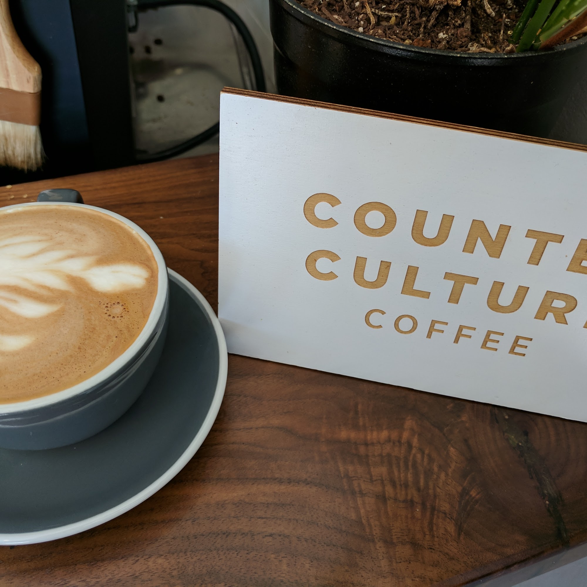 Hal's Office Coffee Albany