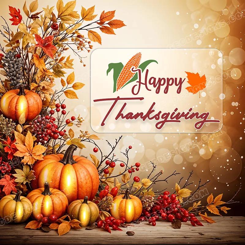 BUA THAI KITCHEN Albany