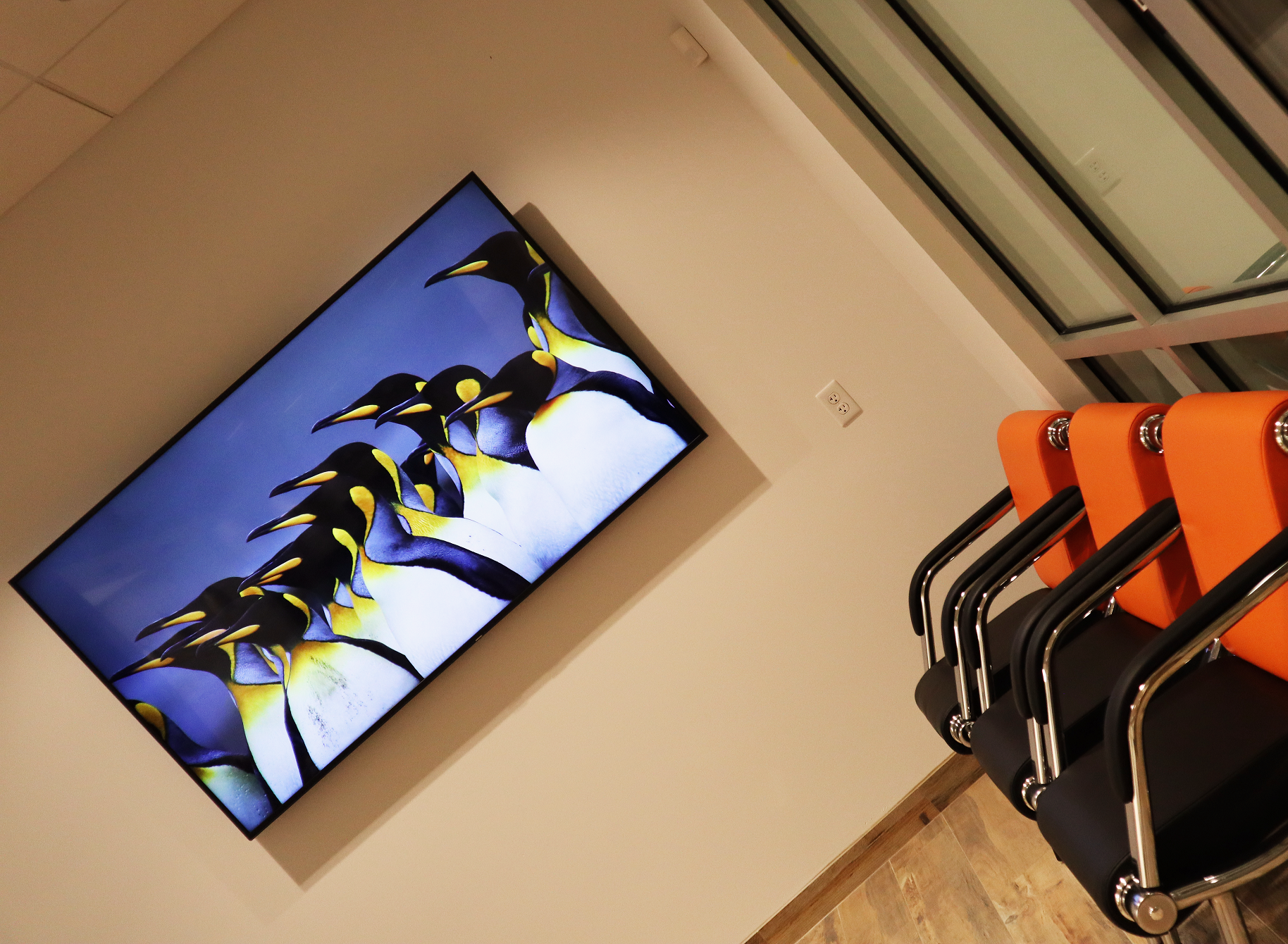 Aliso Viejo Animal Hospital Aliso Viejo