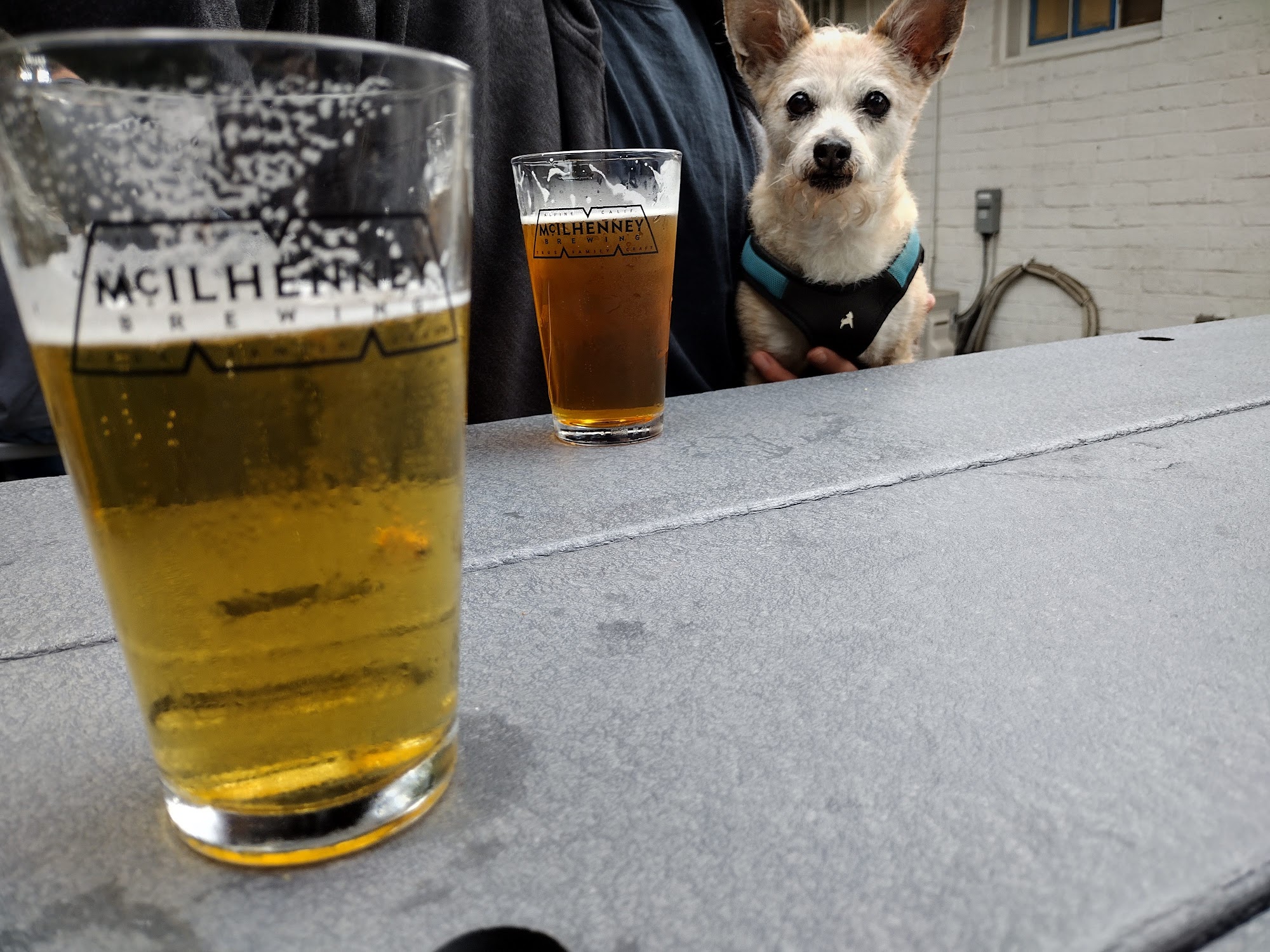 Mcilhenney Brewing Co. Alpine