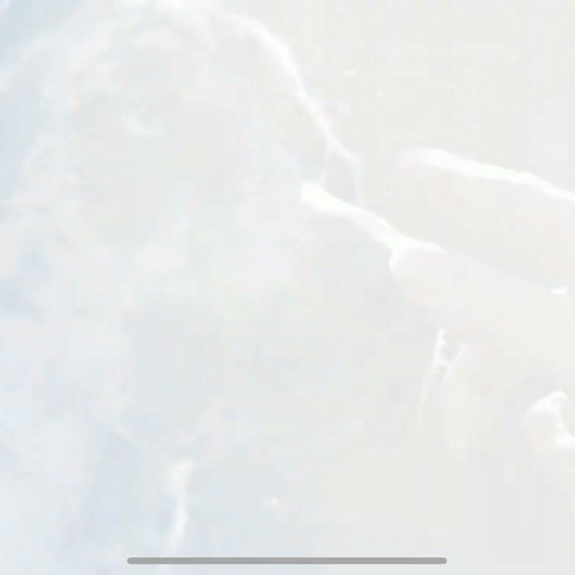 American Canyon Veterinary Hospital American Canyon