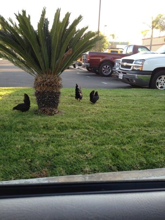 Photo credit: nextdoor