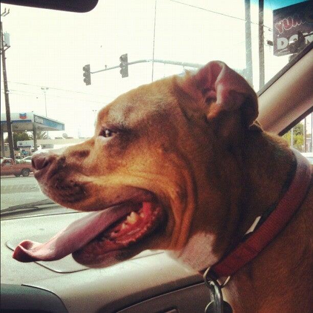 Photo credit: nextdoor