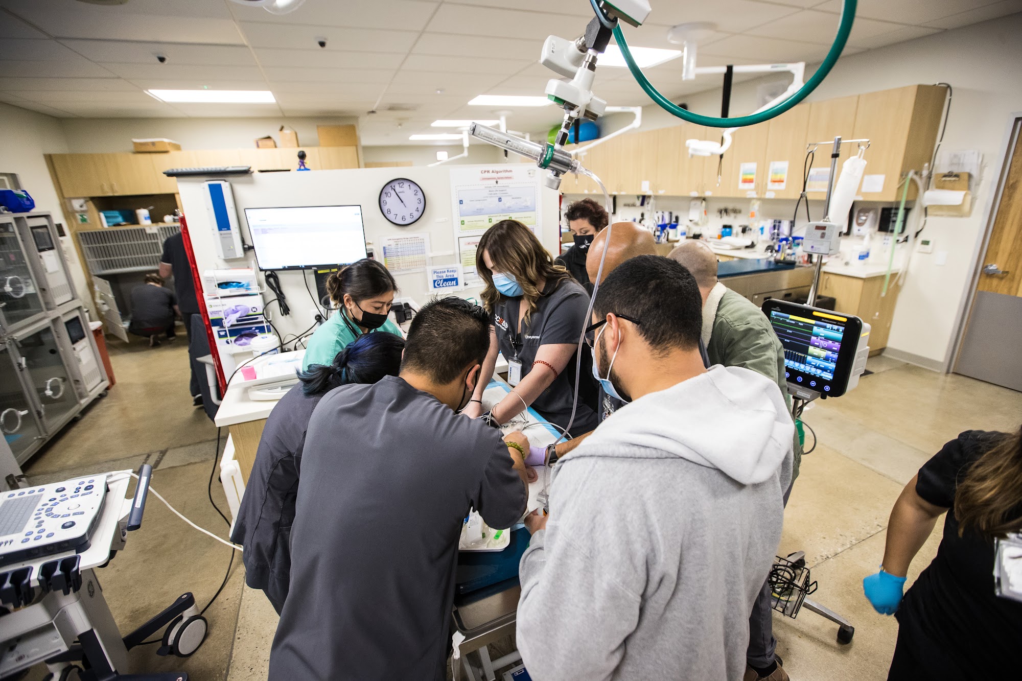 Family Pet Clinic Anaheim