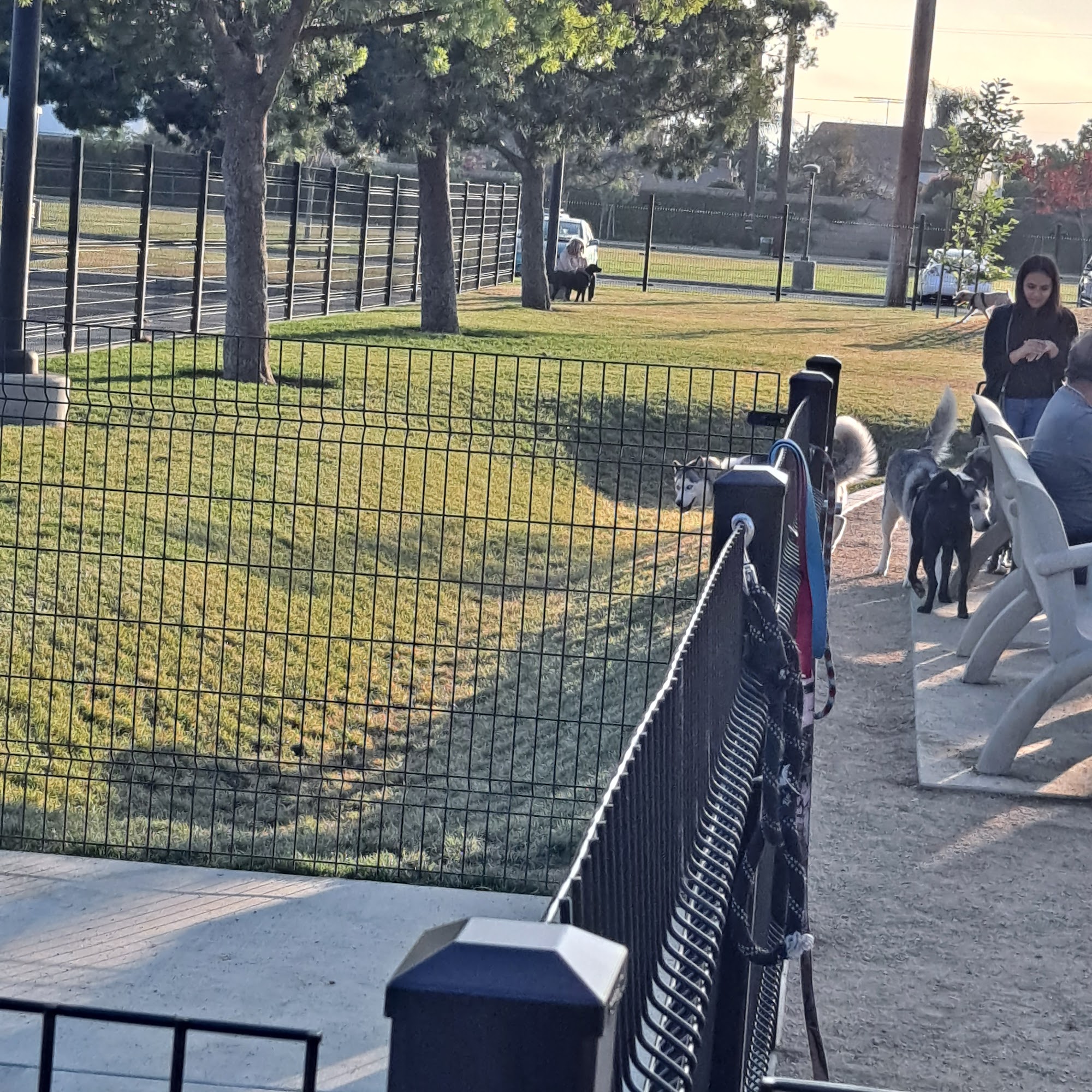 Maxwell Dog Park Anaheim