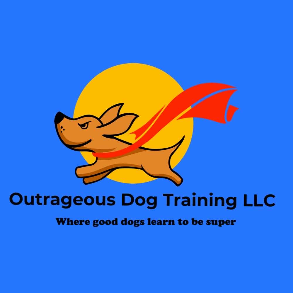 Outrageous Dog Training Anaheim