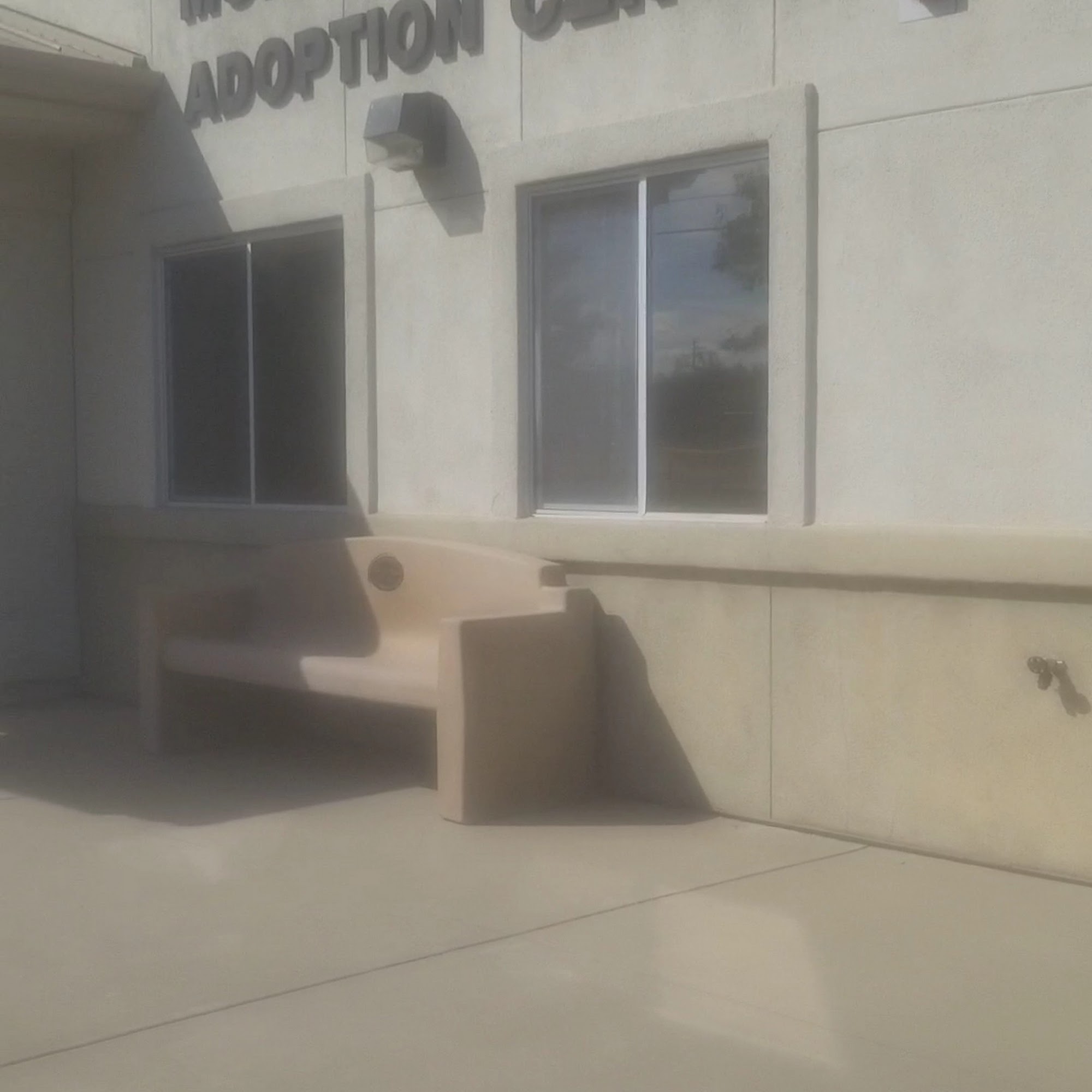 Haven Humane Society Adoption Center Anderson