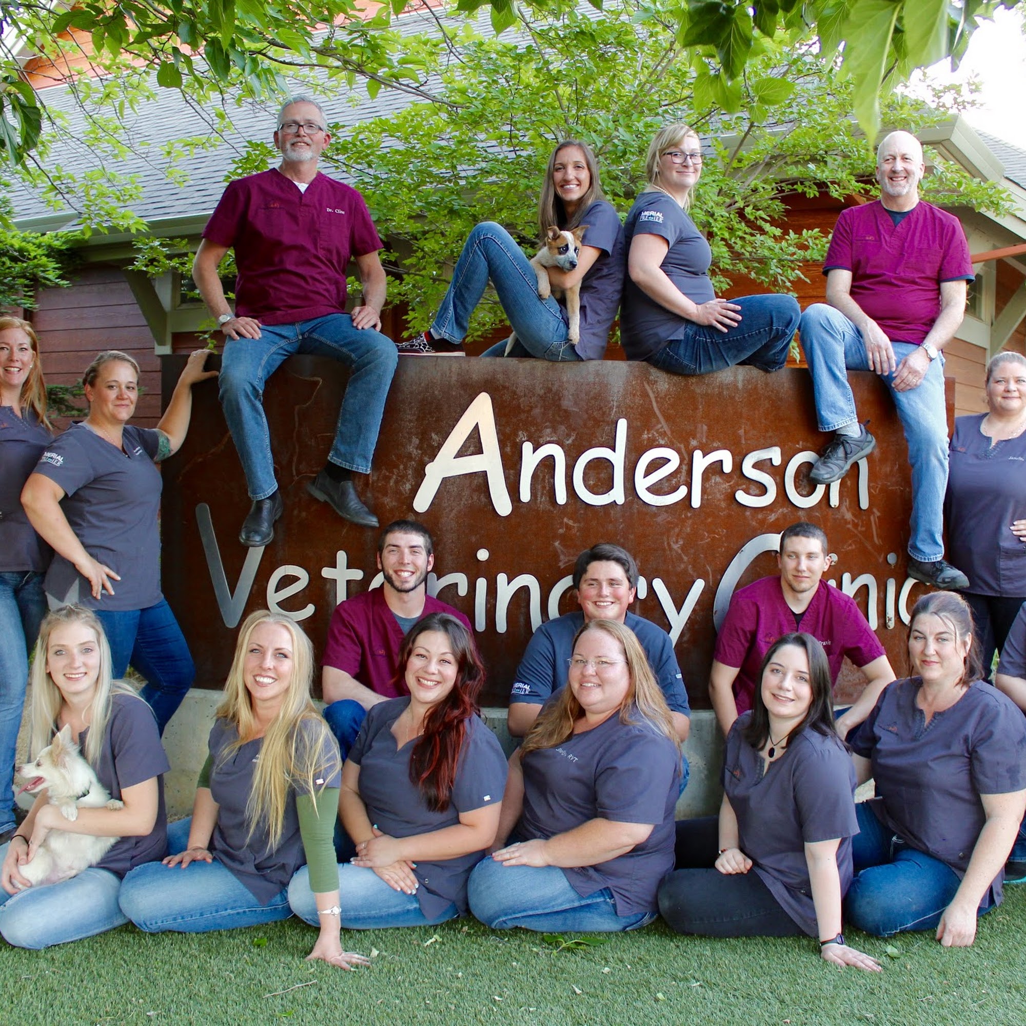 Anderson Veterinary Clinic, A Thrive Pet Healthcare Partner Anderson