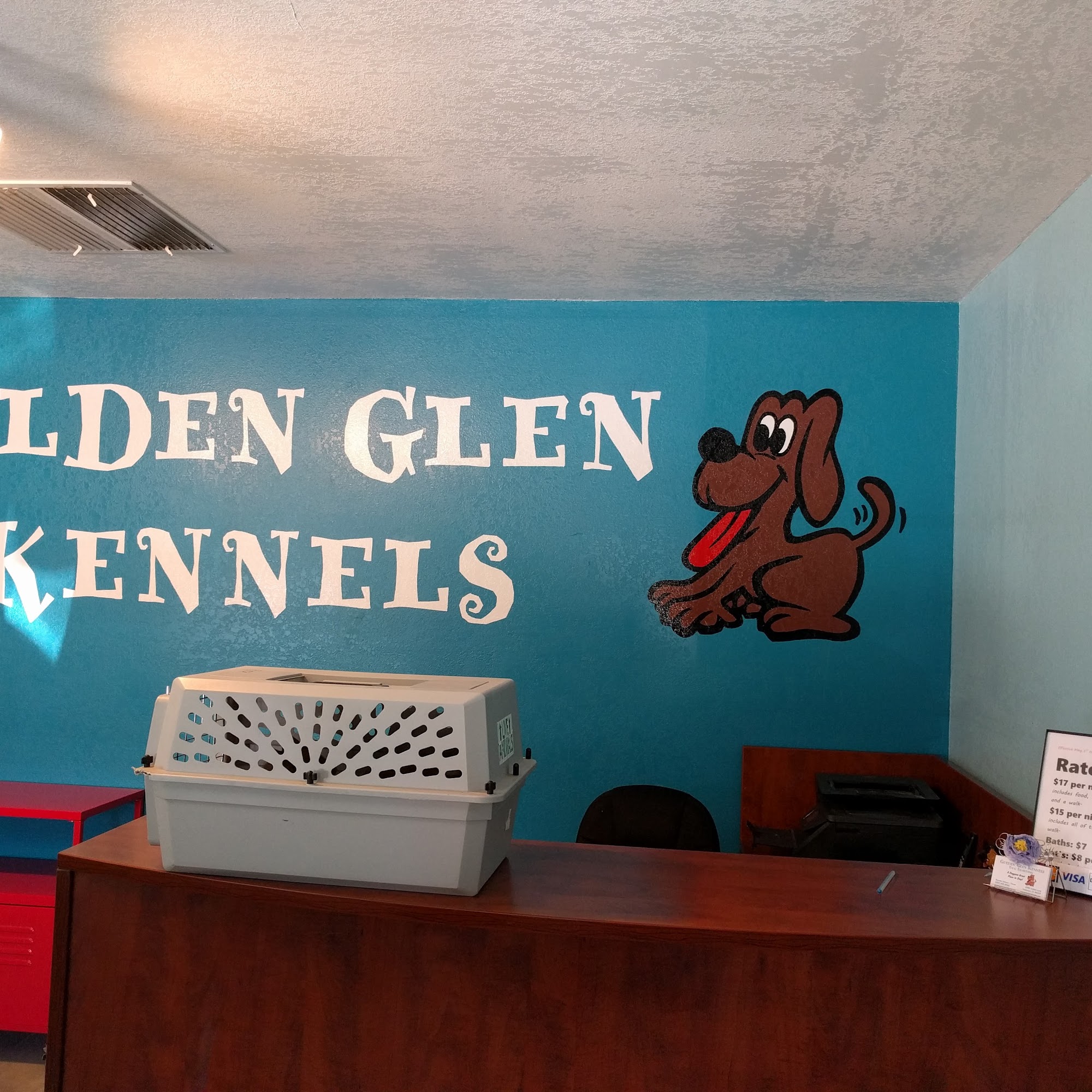 Golden Glen Kennels Anderson